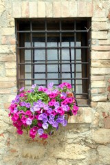 Fototapeta na wymiar windows with flowers in tuscany,Italy 