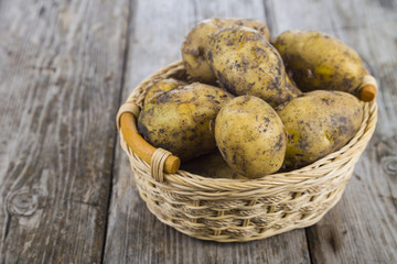 Raw potatoes with leaves