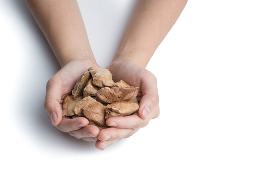 Hands With Healthy Dog Treat, Dried Freeze Dog Food