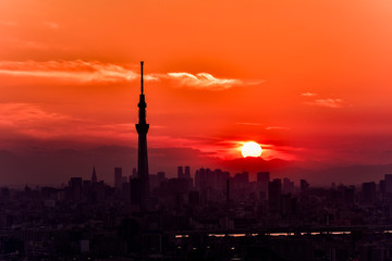 Fototapeta na wymiar 夕日に映える東京スカイツリーと東京の高層ビルのシルエット