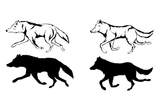 Wolves silhouettes and scetches, vector set, isolated vector illustration