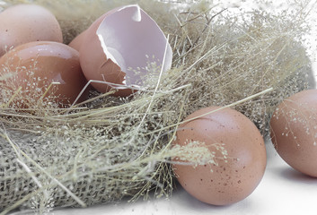 Eggs and eggshell