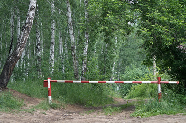 Fototapeta na wymiar barrier in the forest