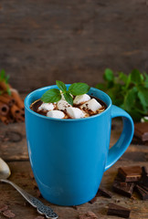 Winter drink - hot chocolate with marshmallows, cinnamon and mint