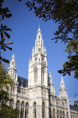 Fototapeta na wymiar the town hall in Vienna Austria