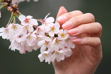 桜とネイル