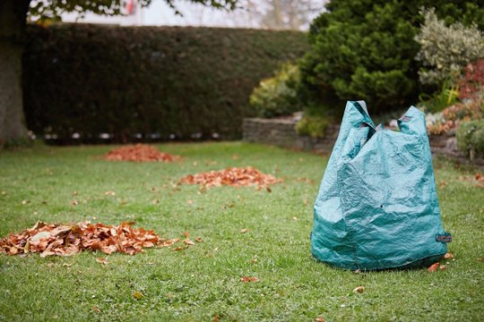 Bag for leaves and piles in garden