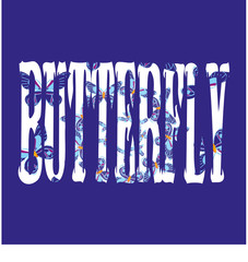 T shirt butterfly on blue background 2