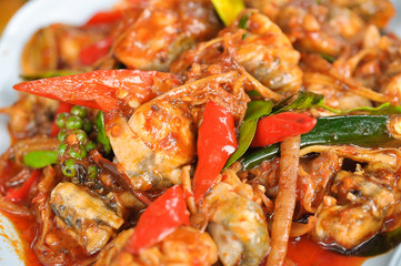 Fried frog spices Thailand