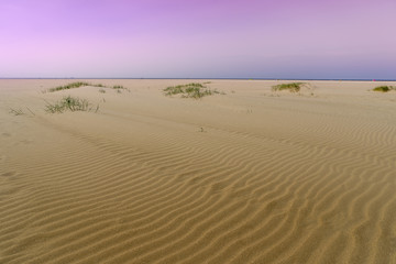 Fototapeta na wymiar Purple haze beach