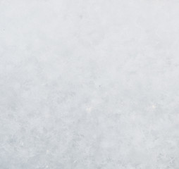 fresh snow