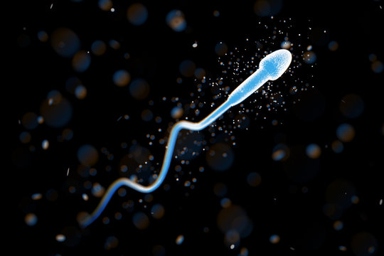 Microscope View Of Spermatozoon. 3d Rendering