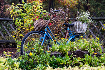 Fototapeta na wymiar Fahrrad im Blumenmeer