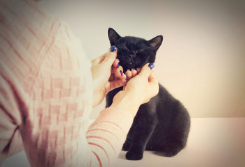 hands embraces kitten