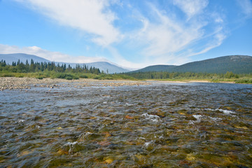 Virgin Komi Forests, UNESCO World Natural Heritage.