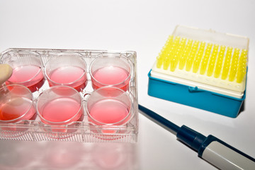 Cell technologies in laboratory research.