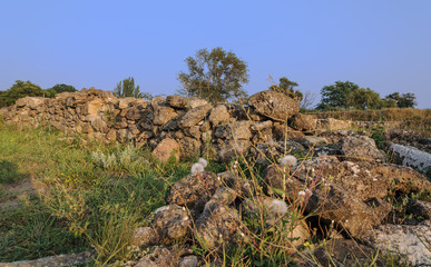 Excavations of the ancient city in Crimea