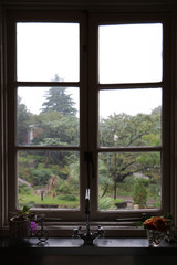 Landscape visible from the kitchen / キッチンから見える