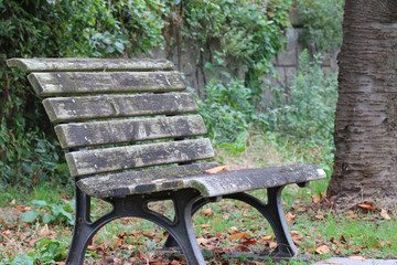 Park bench / 公園のベンチ