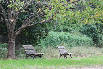 Park bench / 公園のベンチ