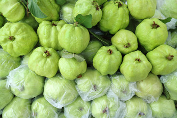 Guava fruit fresh for background