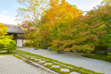 Japan, Kyoto, Tenju-an Temple with Japanese maple tree in foreground, Autumn
