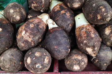 Pile of Colocasia esculenta in the market