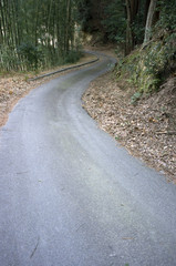 竹林と曲り道