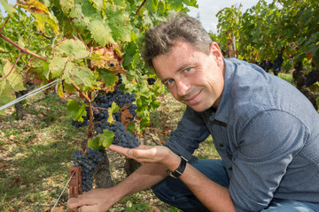 Young happy man smiling at camera in the grape fields