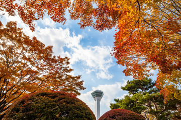 五稜郭公園の紅葉と五稜郭タワー