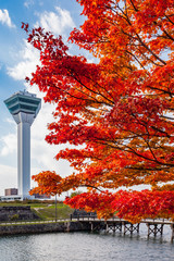 五稜郭タワーと紅葉