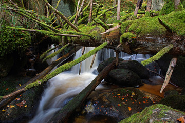 Herbst in der Ysperklamm - Waldviertel / Niederösterreich