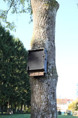 Nisthöhle für Fledermäuse