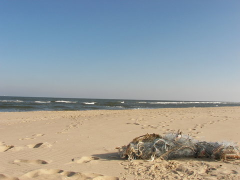 Fototapeta Plaża Stogi