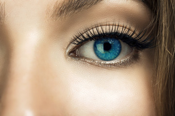 Macro image of human eye. Beautiful eye. Younge woman.