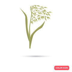Oats agriculture crop. Color flat icon
