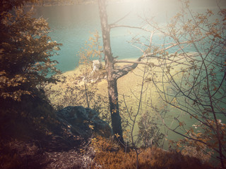  In Autumn.Fantasy fable in Park with Sunrise scene.