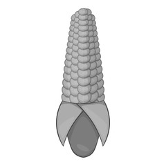 Corn cob icon. Gray monochrome illustration of corn vector icon for web design