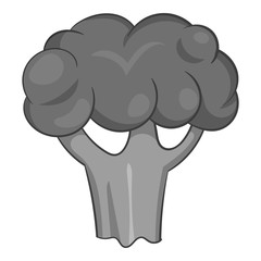 Broccoli icon. Gray monochrome illustration of broccoli vector icon for web design
