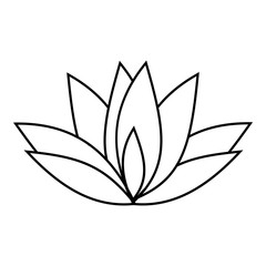 Lotus icon. Outline illustration of lotus vector icon for web