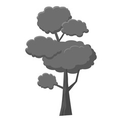 Pine tree icon. Gray monochrome illustration of pine tree vector icon for web