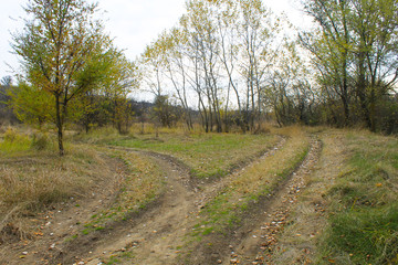 Fototapeta na wymiar Forked rural roads in autumn forest