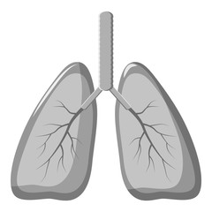Human lungs icon. Gray monochrome illustration of human lungs vector icon for web