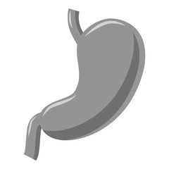 Stomach icon. Gray monochrome illustration of stomach vector icon for web