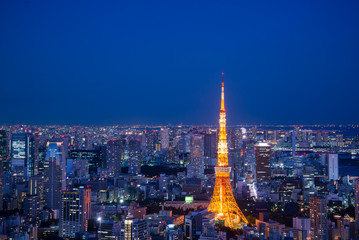 Aerial View of Tokyo Skyline, Rainbow Bridge, and Tokyo Tower