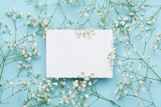 Fototapeta Wedding mockup with white paper list and flowers gypsophila on blue table from above. Beautiful floral pattern. Flat lay style.