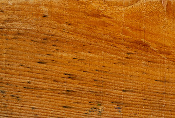 Wood texture with natural pattern