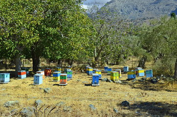 Fototapeta premium Greece, Samothrace Island