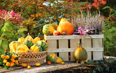 garten im herbst