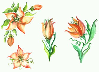 watercolor flowers in different styles